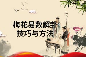 梅花易數|梅花易数在线排盘